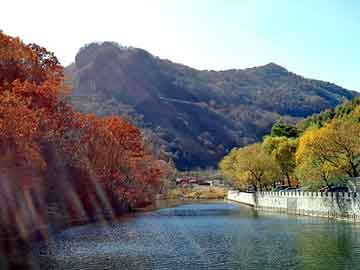 澳门二四六天天彩图库，普洱物流